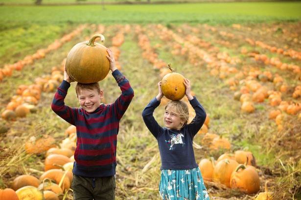 Du lịch Châu Âu mùa Halloween